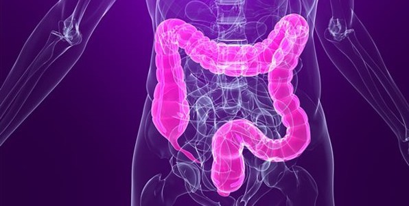 Les meilleurs aliments qui facilitent la digestion