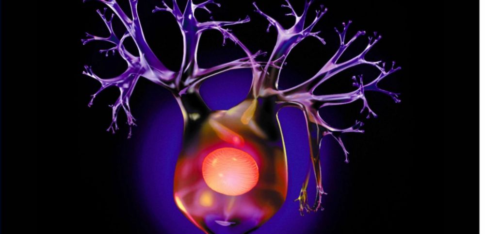 6 bonnes résolutions pour prendre soin de son cerveau en 2017