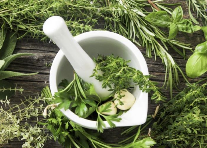 Plantes aromatiques, des aliments détox qui aident à bien digérer