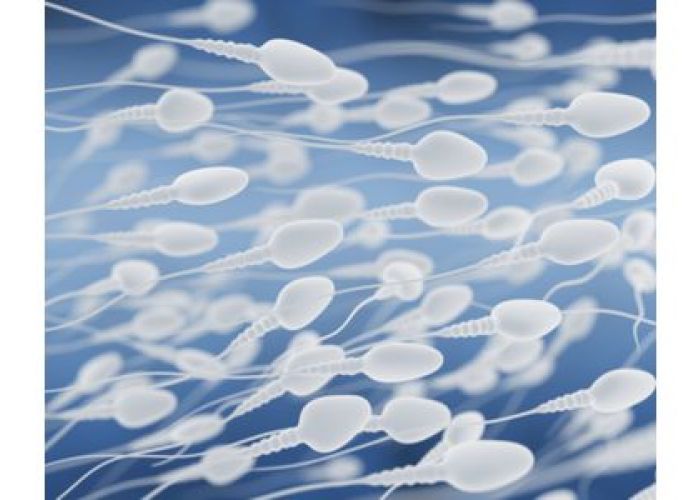Les hommes méconnaissent les causes de l'infertilité masculine