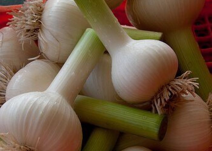 Aliments pour détoxifier le foie