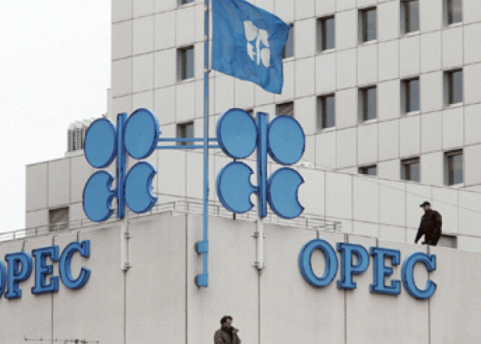  Pétrole : L'Opep préoccupée par la hausse de la production américaine