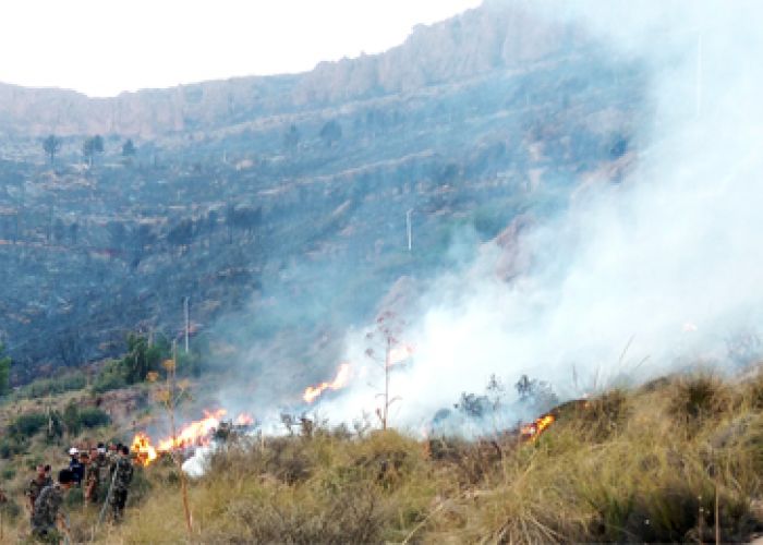 Lutte contre les incendies : La main forte de l'ANP aux pompiers et aux forestiers 