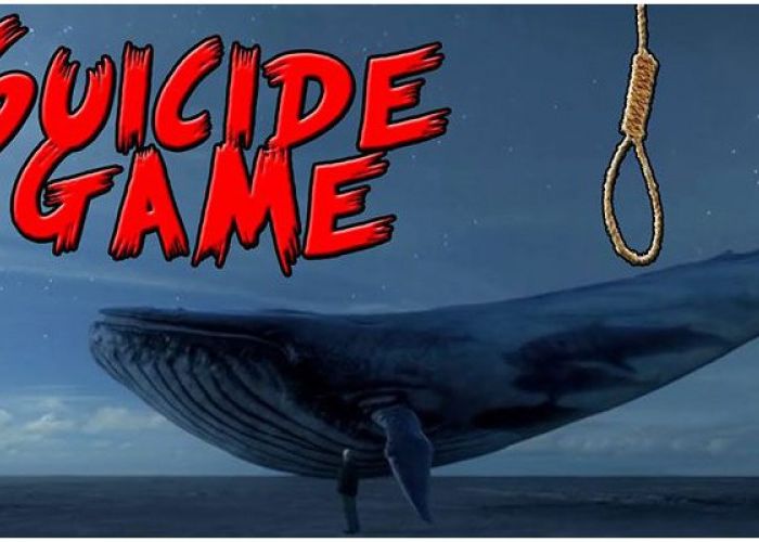 Les premières investigations révelent que seul un cas est en lien avec le jeu de la baleine bleue 