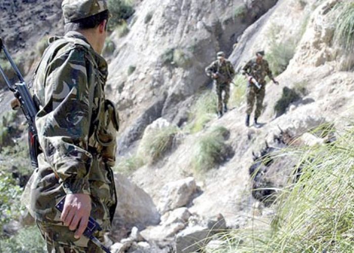 Quatre casemates pour terroristes détruites à Médéa 