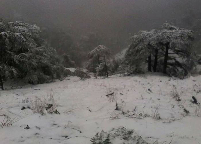 Les monts du Djurdjura et de Chréa recouverts d'un manteau blanc (Vidéo)