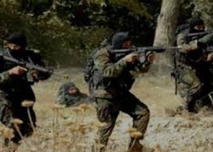 Jijel : un dangereux terroriste éliminé à Mechta Mohcene