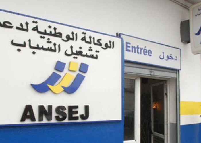  Création de micro-entreprises : Dispositif incitatif en faveur des jeunes issus de l’émigration 