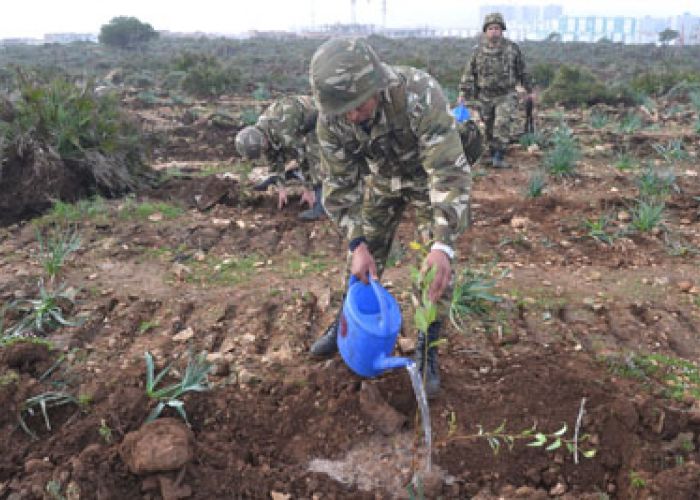 Les éléments de l'ANP participent à la plantation de 86000 arbustes dans la 2e région militaire
