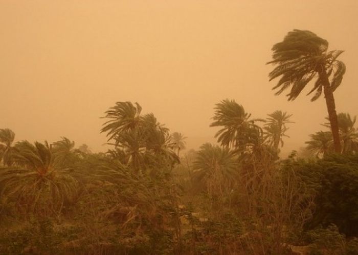 Alerte Météo : Des vents assez forts toucheront une dizaine de wilayas du pays à partir de vendredi