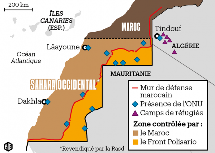 Invalidation de l’accord de pêche Maroc-UE : Le Makhzen reçoit une claque 
