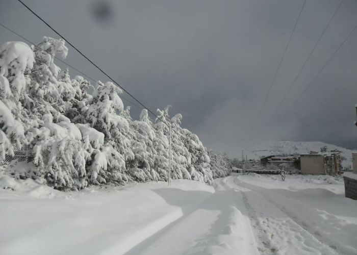 Plusieurs routes bloquées par la neige à Tizi Ouzou, Sétif, Bouira et Béjaia