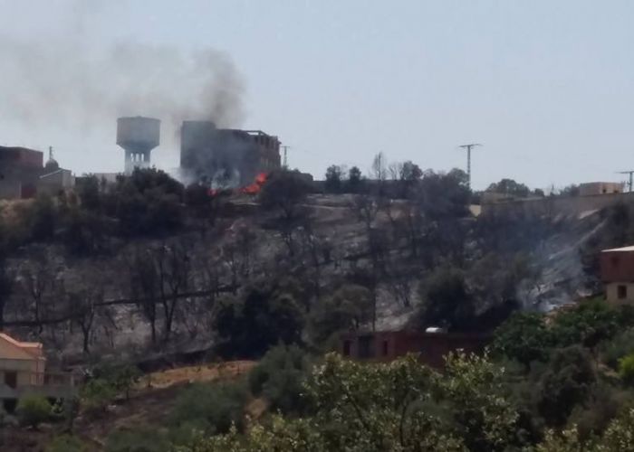 Incendies de forêts : Les modalités d'indemnisation des victimes fixées en conseil interministériel 