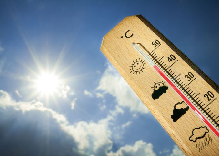La vague de chaleur continue de sévir !