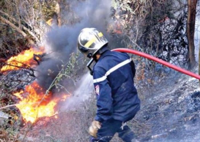 Incendies : Bedoui met en garde contre les faux sinistrés