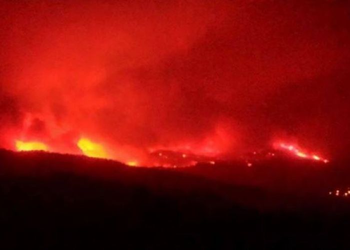 Béjaia : Des maisons ravagées par des feux de forêts et plusieurs villages évacués (Actualisé) 