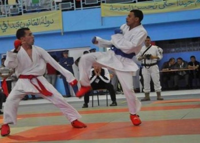 Après la suspension de la fédération de karaté-do par la WKF : cellule de crise au MJS