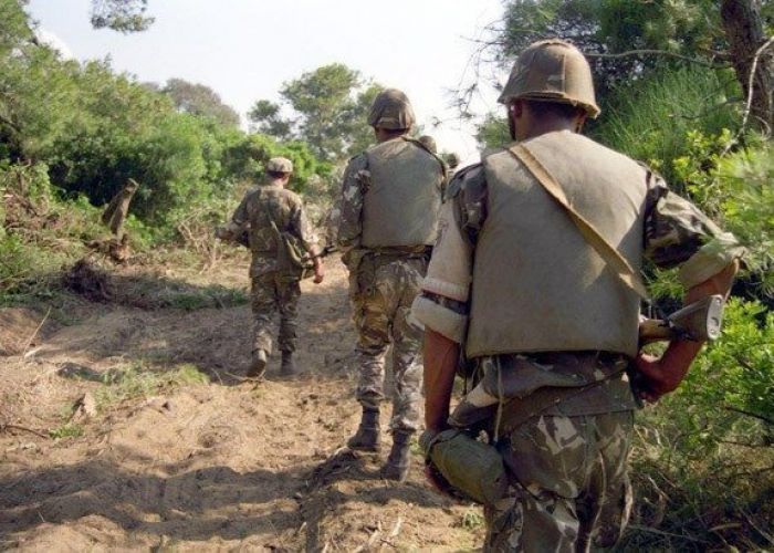  Lutte antiterroriste: destruction de deux (02) casemates pour terroristes à Bouira et Tipasa