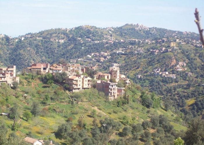 Disparition d'un jeune à Maatkas (Tizi Ouzou) : La thèse du kidnapping évoquée par ses proches 