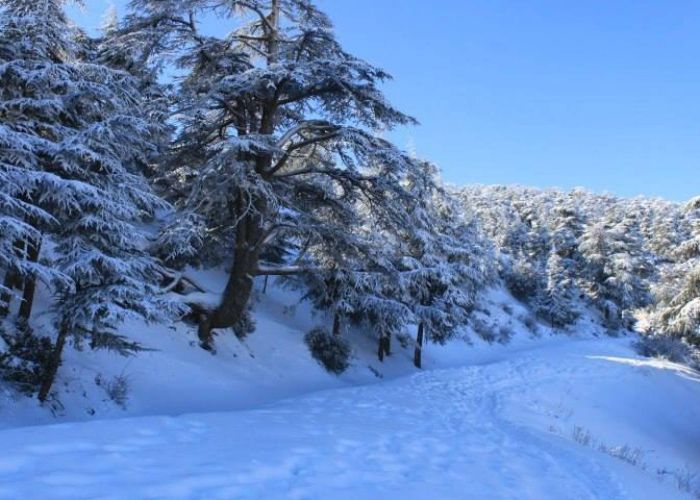 Alerte Météo : Jusqu'à 15 cm de neige à 800 m sur plusieurs régions du pays dès vendredi soir 