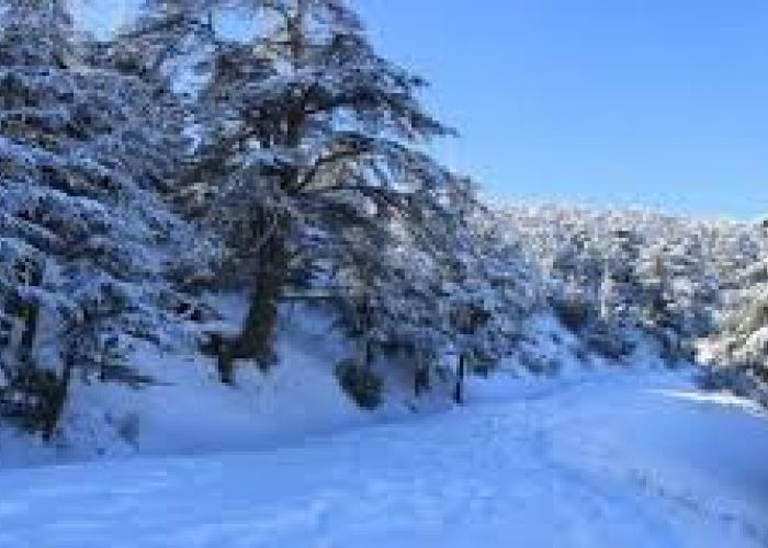 Des chutes de neige sur les reliefs de l'Est dépassant les 1000 m à partir de lundi