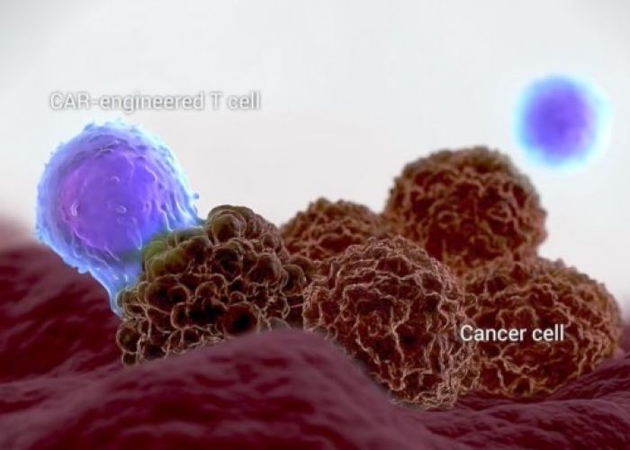 USA : la FDA approuve l’utilisation d’un nouveau traitement contre le cancer du lymphome