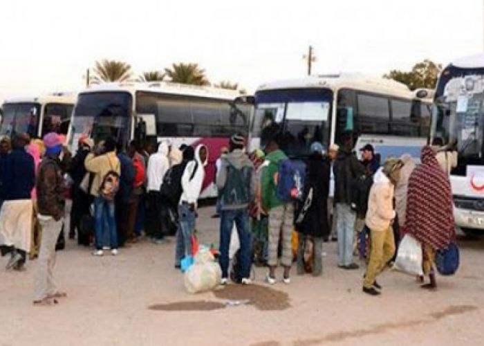 Tizi-Ouzou :Transfert de plus de 600 ressortissants nigériens en prévision de leur rapatriement 