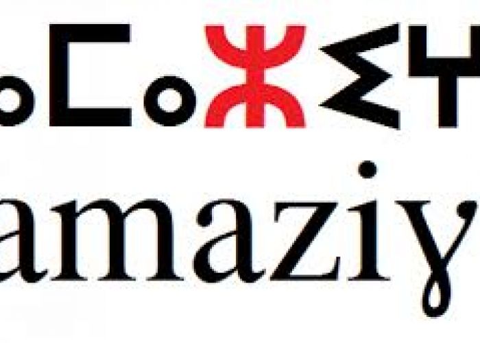  Elle a été rendue publique aujourd’hui : Une pétition pour Tamazight, «cause nationale»