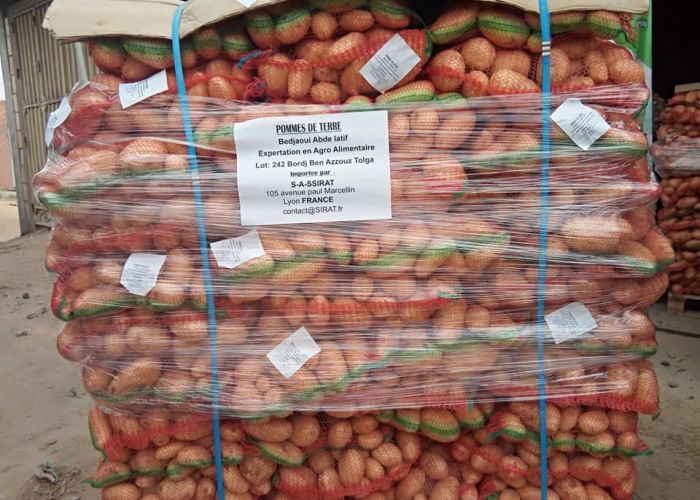  El-Oued exporte, pour la première fois, de la pomme de terre vers la France