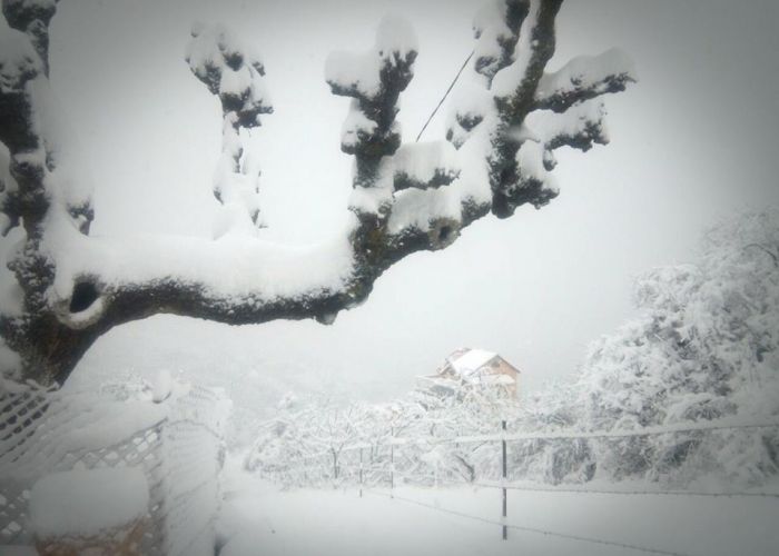 L'Algérie sous un manteau blanc