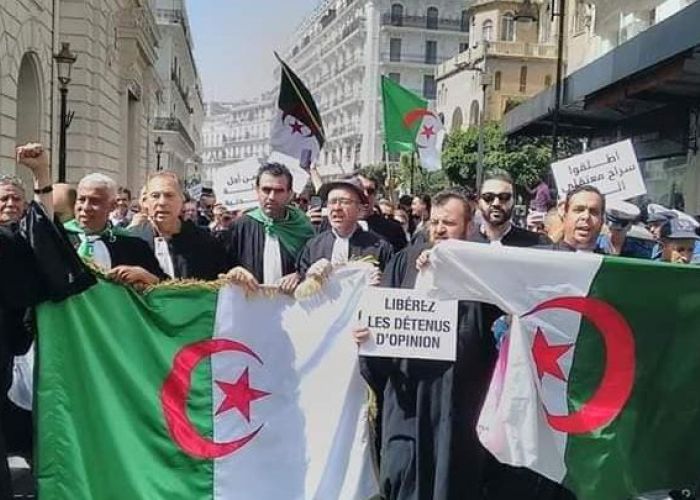  Ils dénoncent le retour de « la justice téléphonique » : des dizaines d’avocats manifestent à Alger(Vidéo)
