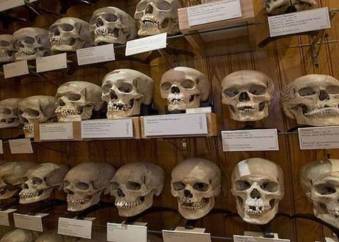 Alain Froment, anthropologue français : "Il faut évidemment rendre les crânes des résistants algériens, il n'y a aucun débat là-dessus"
