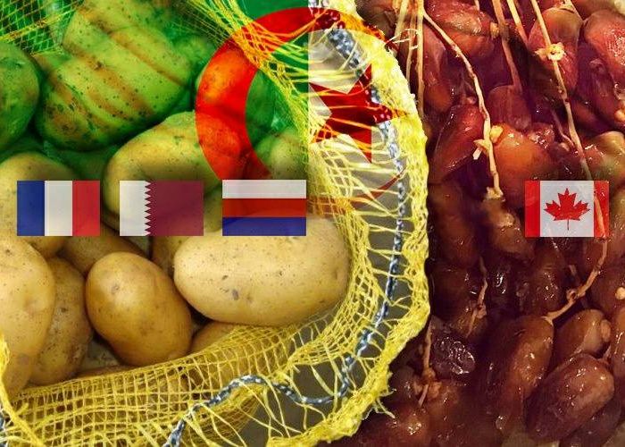  Refoulement de produits agricoles exportés : le non-respect de la chaîne de froid en cause