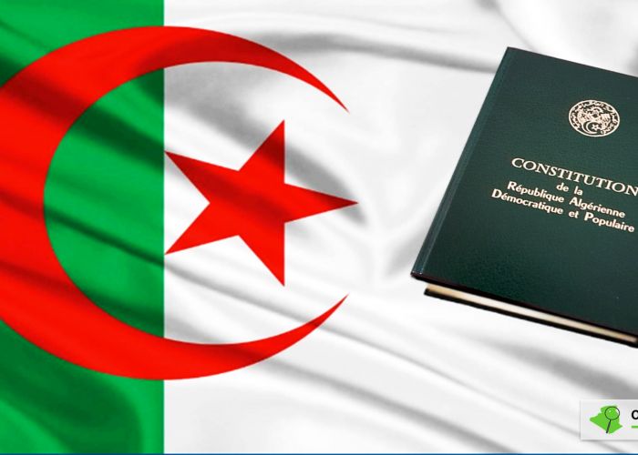  De quelques remarques sur le projet de révision de la Constitution