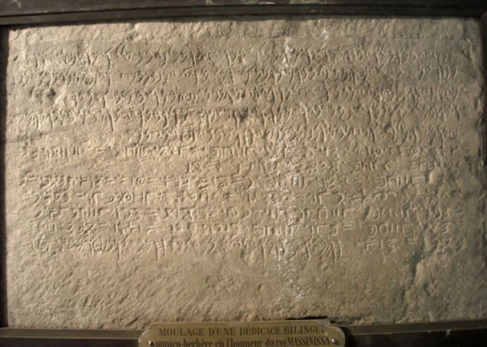 Du punique à la darija : les mots à l’épreuve du temps