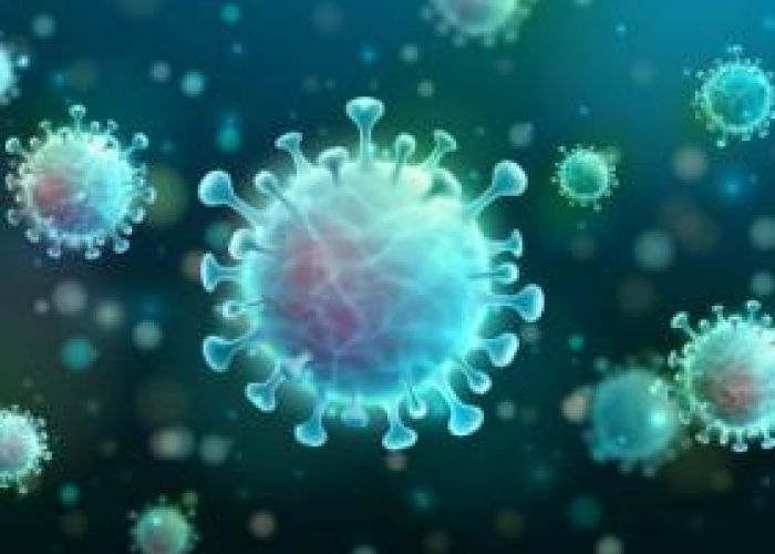 Coronavirus en Algérie (nouveau bilan): 932 cas, 585 guérisons et 17 décès ces dernières 24h