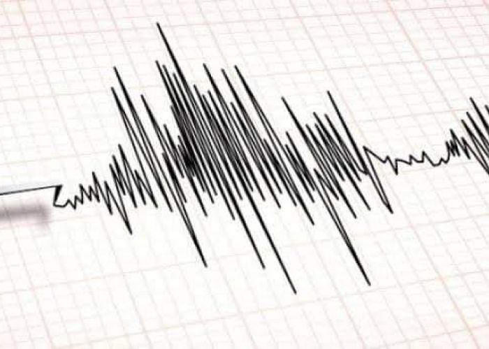 Secousse tellurique de magnitude 4.3 dans la wilaya de Tipaza 