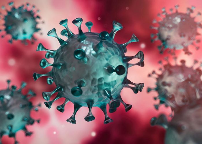  Coronavirus : 93 nouveaux cas, 03 décès, zéro cas dans 33 wilayas