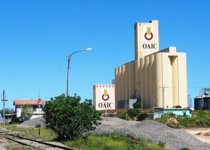 Tribunal de Sidi Mhamed : le procureur de la République révèle une affaire de corruption d'un ancien responsable de l'OAIC