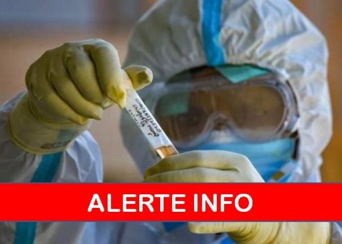 Coronavirus : 205 nouveaux cas, 115 guérisons et 5 décès durant les dernières vingt-quatre heures