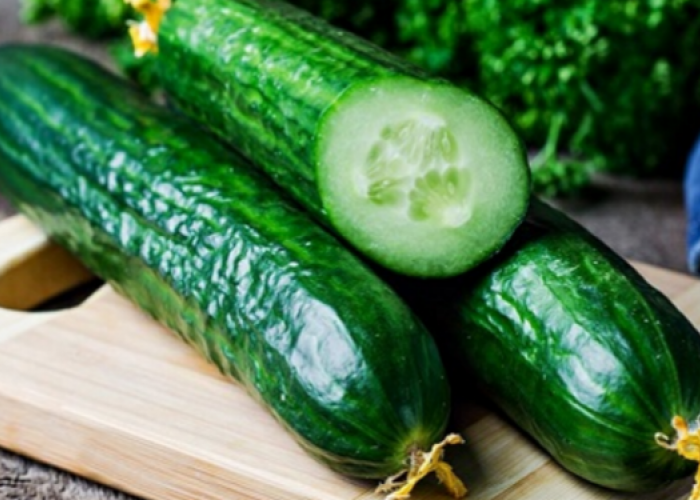 Les bienfait du concombre sur la santé