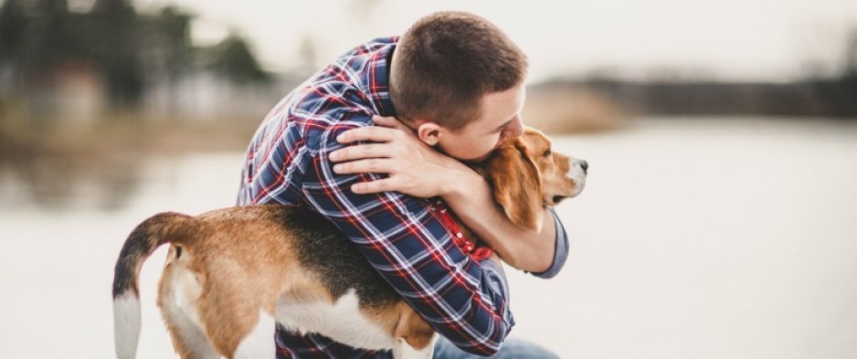 Contre le stress et l'ennui, les chiens et chats considérés comme des facteurs de bien-être