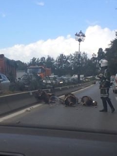  Vents violents sur Alger : un véhicule de transport de fonds abimé à Bouchaoui