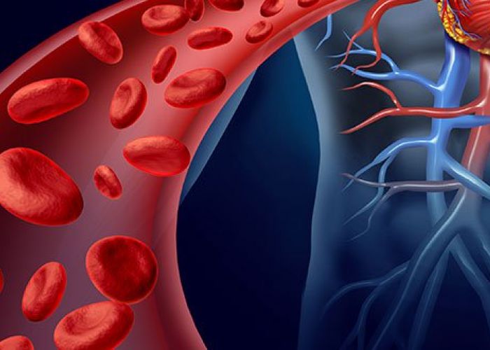 Comment améliorer sa circulation sanguine naturellement