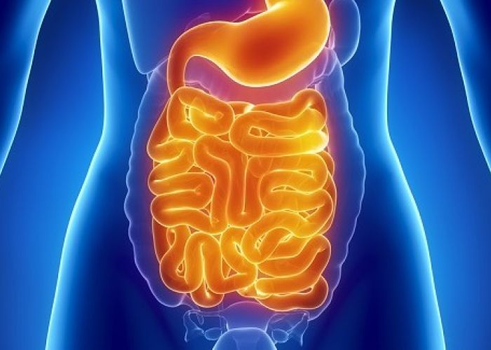 Une méthode puissante pour détoxifier votre corps en un temps record !