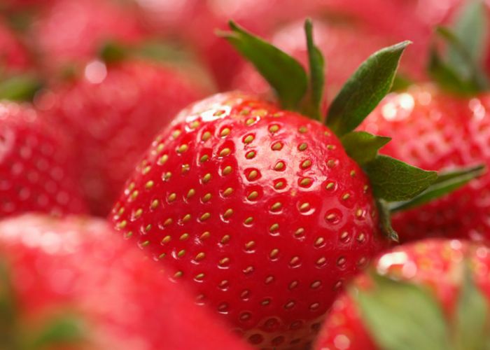 Des fraises contre le cancer du sein ?
