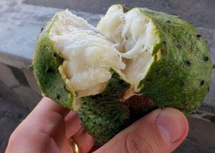 Voici le fruit miraculeux contre le cancer