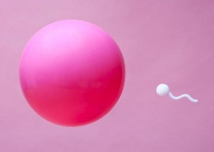 Six choses que vous ne savez pas à propos du sperme