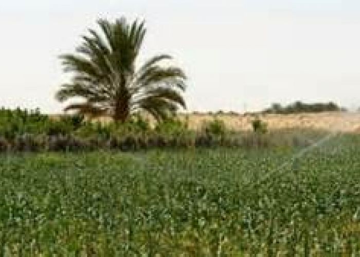 Algérie-UE : 20 millions d’euros pour le développement rural 