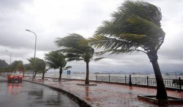 Alerté météo : Vents forts jusqu'à 80 km/h sur 36 wilayas